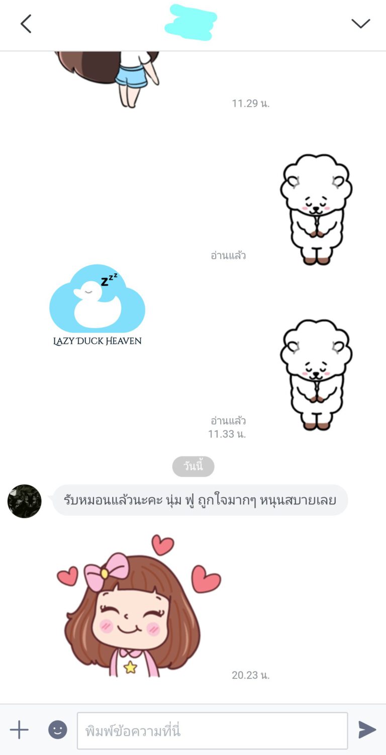 Pillow Thank 01