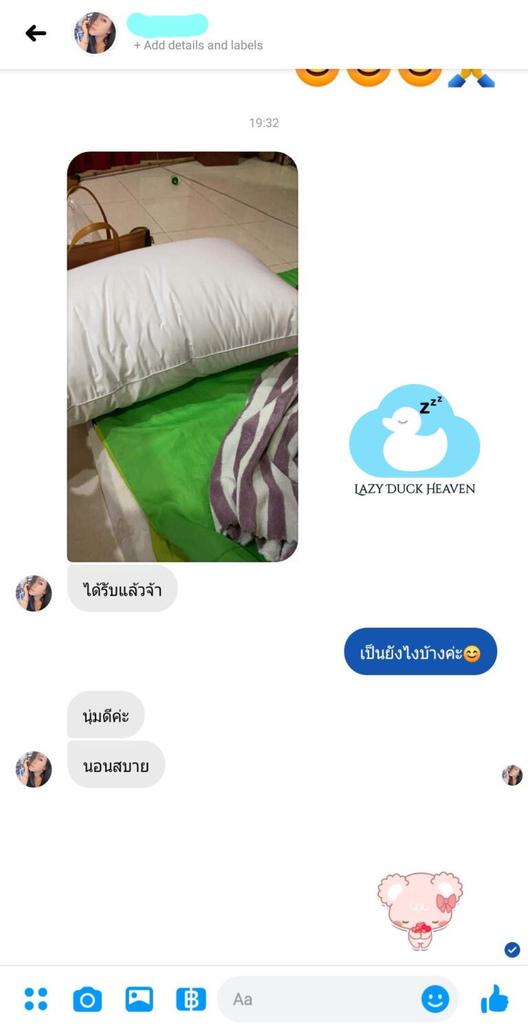Pillow Thank 06