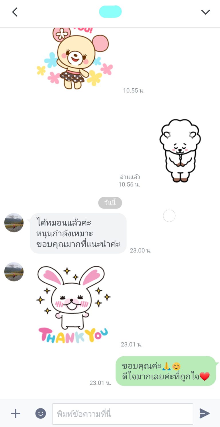 Pillow Thank 25